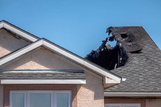 Top rated local Fire Damage Removal specialists in Riverside, OH